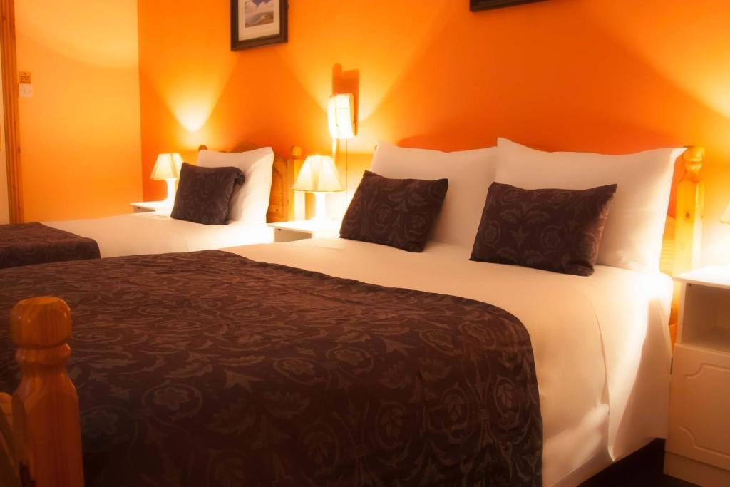 Mccarthy'S Lodge B&B Westport Kültér fotó
